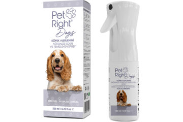 Pet Right® Dogs